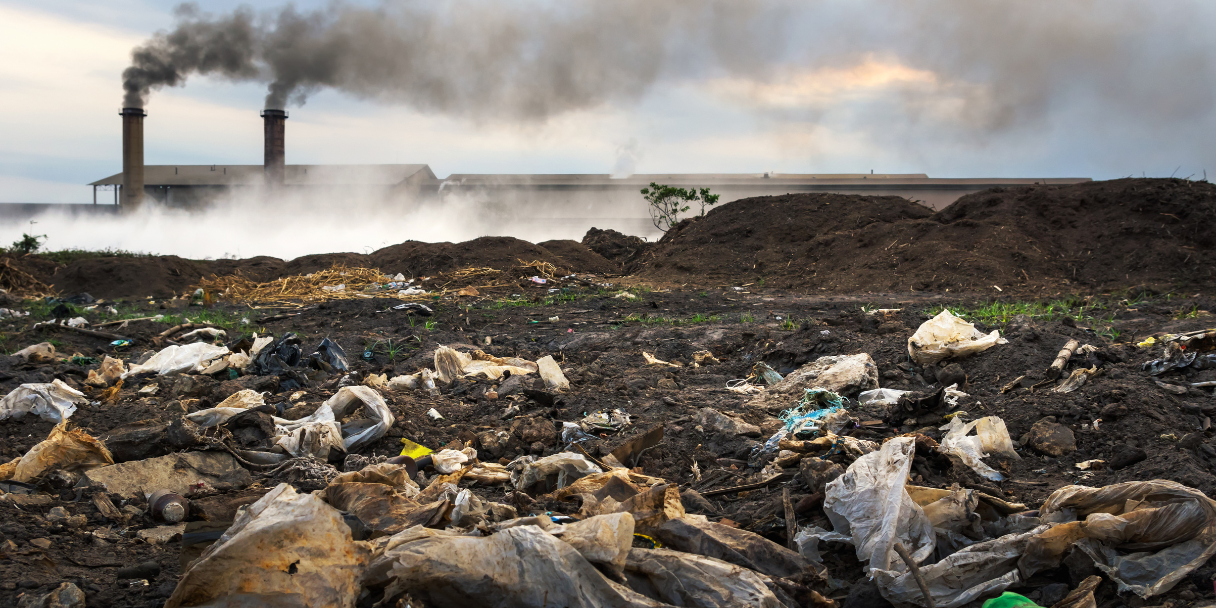 Converting Waste to Carbon Technology - Foundations 20